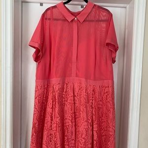 Lace and Mesh Shirt Dress